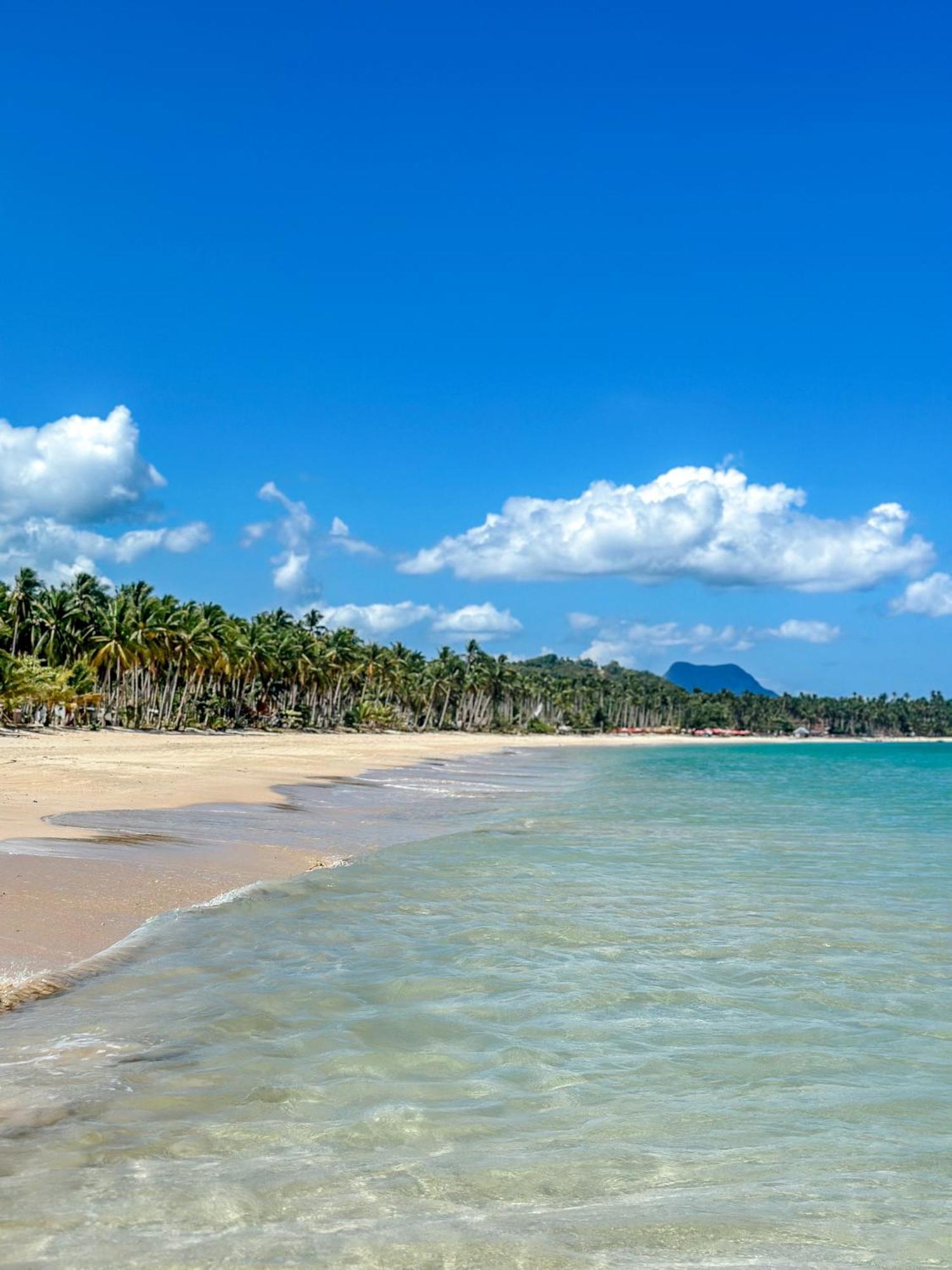 Eco Sanctuaries Nature Lodge Nacpan Beach, 爱妮岛 外观 照片