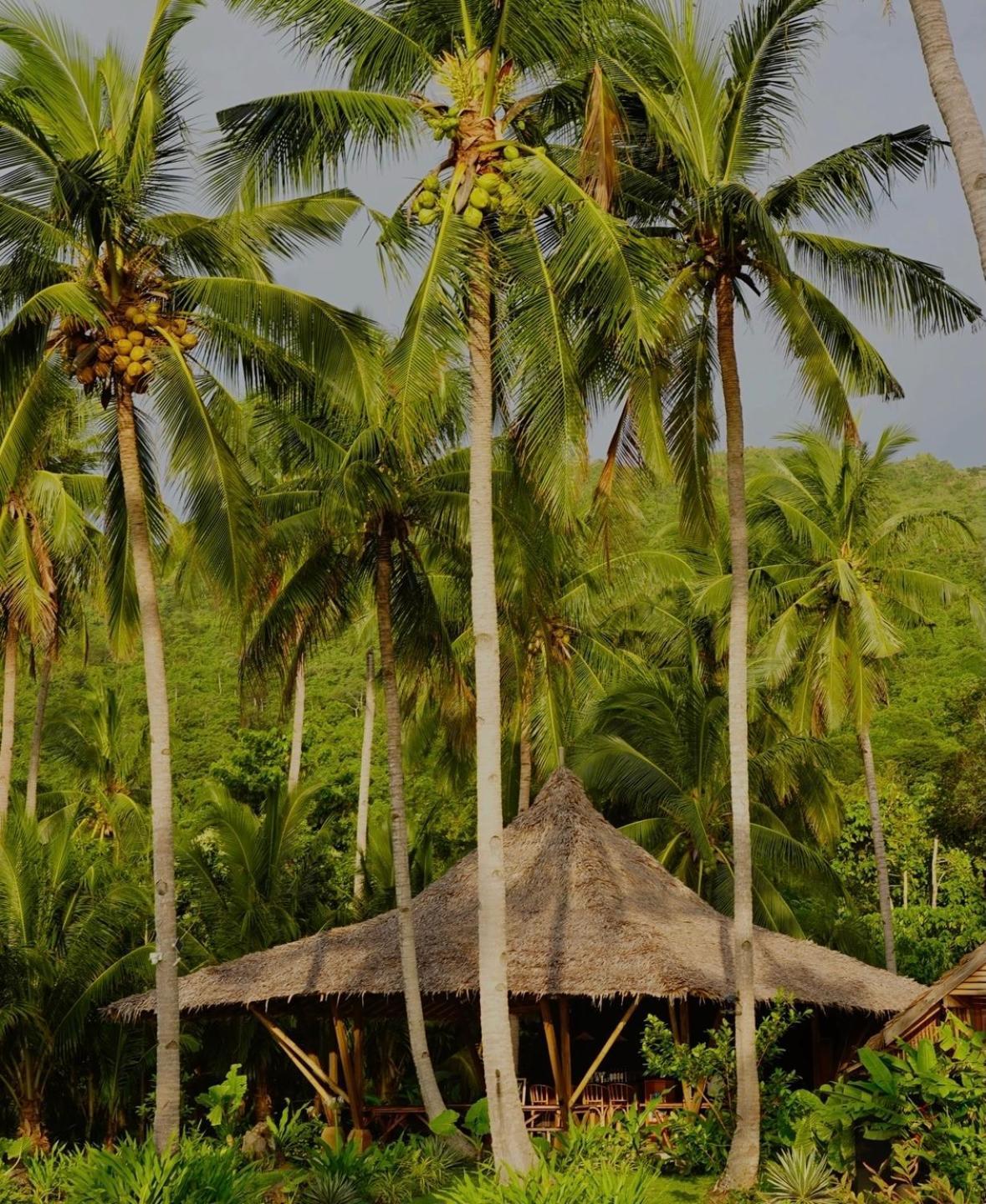 Eco Sanctuaries Nature Lodge Nacpan Beach, 爱妮岛 外观 照片