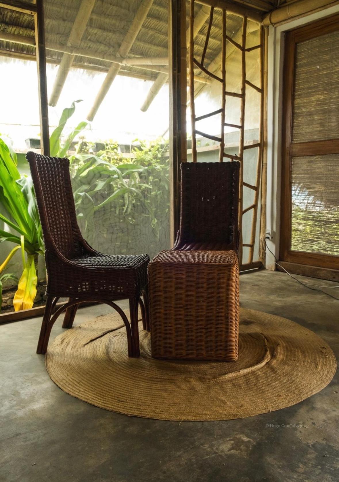 Eco Sanctuaries Nature Lodge Nacpan Beach, 爱妮岛 客房 照片